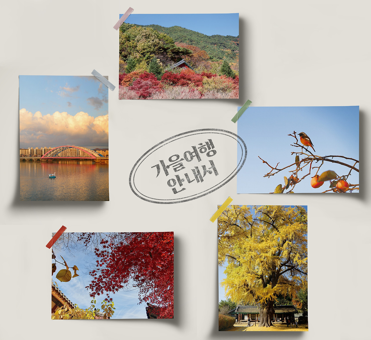 엽서 모음 목업.jpg