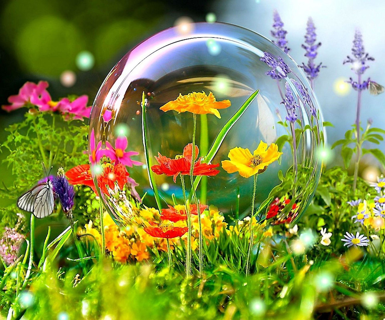 7442_Big-bubble-soap-in-the-garden-colourful-flowers-and-insects.jpg