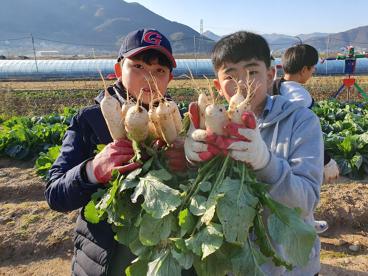 최뿌리_학교텃밭 가꾸기.jpg