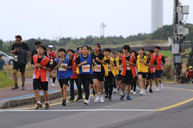 새넷_제주_애울초 001.jpg