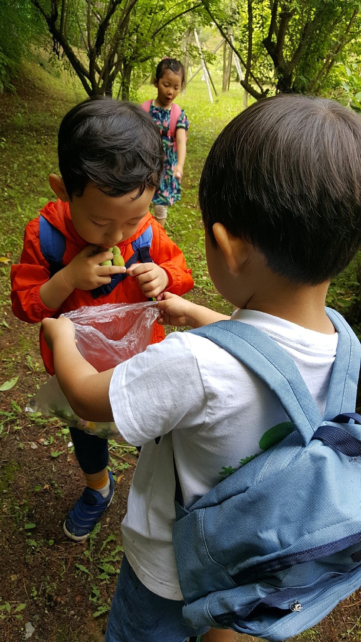 곰사냥 8.jpg