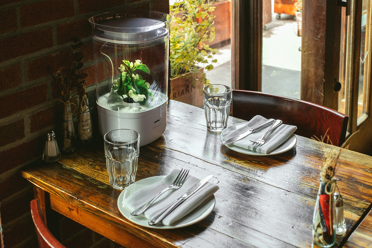 Bloomengine 2nd Retouch-10.jpg