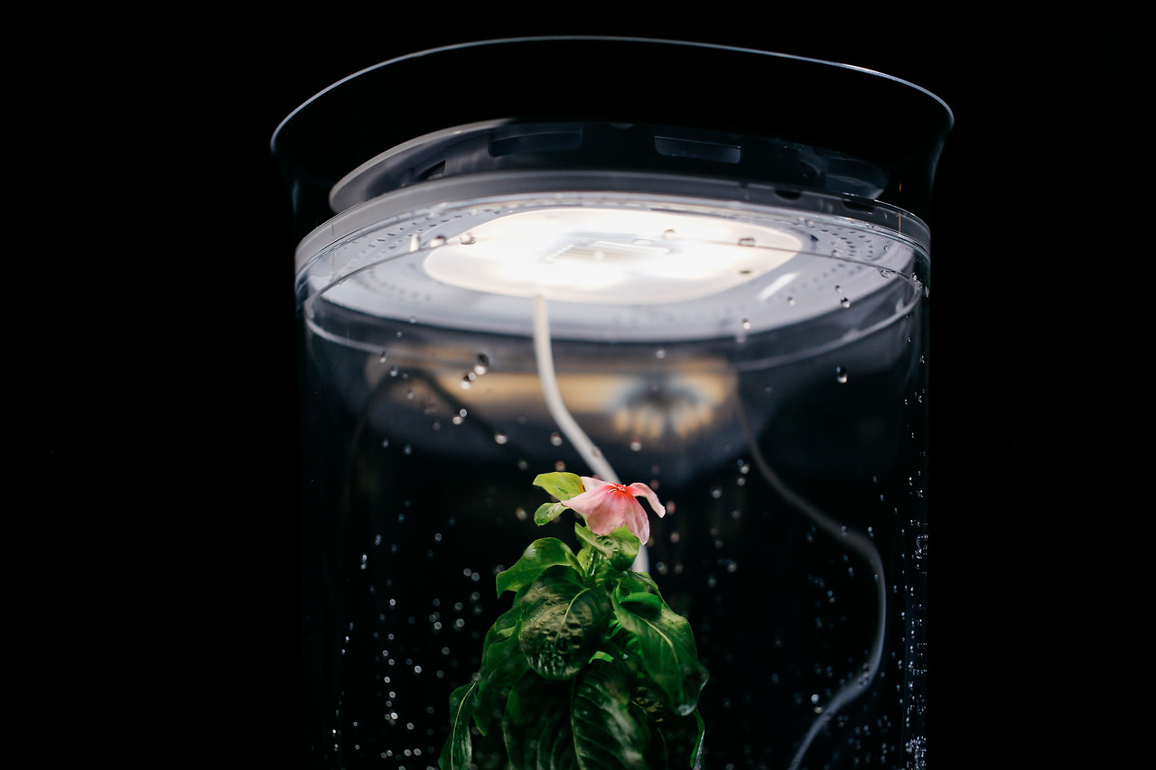 bloomengine preselect-8_High.jpg