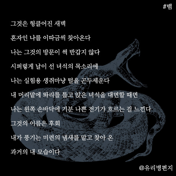 뱀.jpg