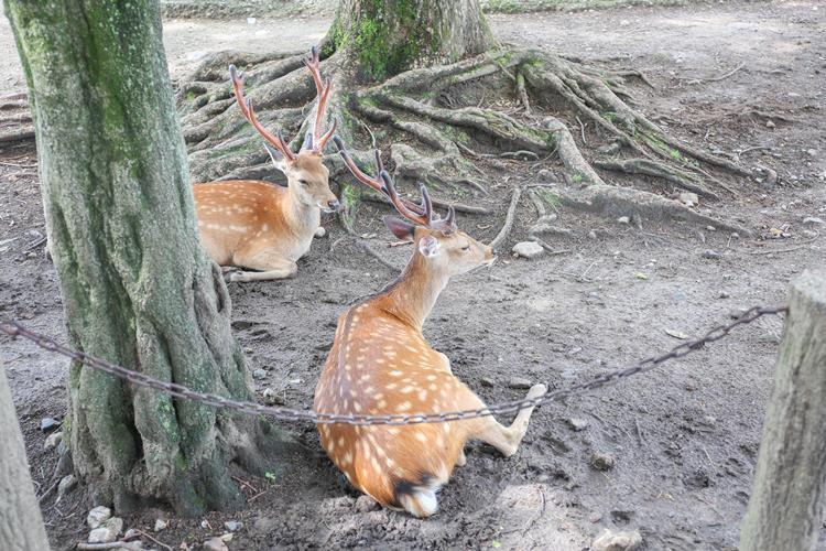 20resize_2 오사카 (3).jpg