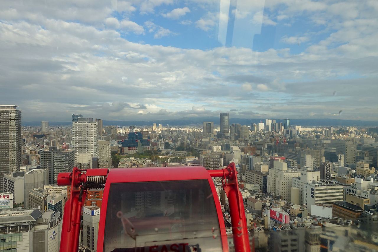 20-20햅파이브 대관람차.jpg