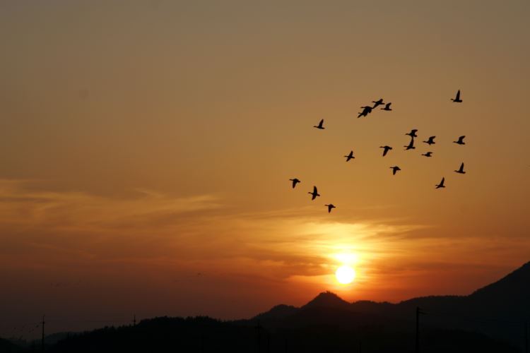 024-순천만 (2)resize.jpg