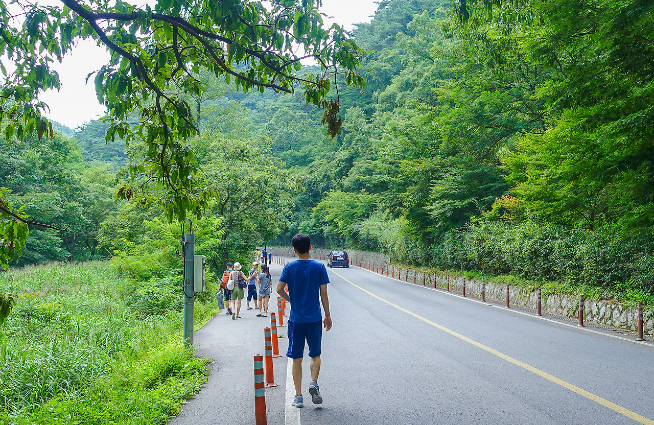 순천 (3).jpg