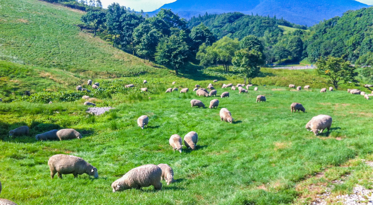 평창 (2).jpg