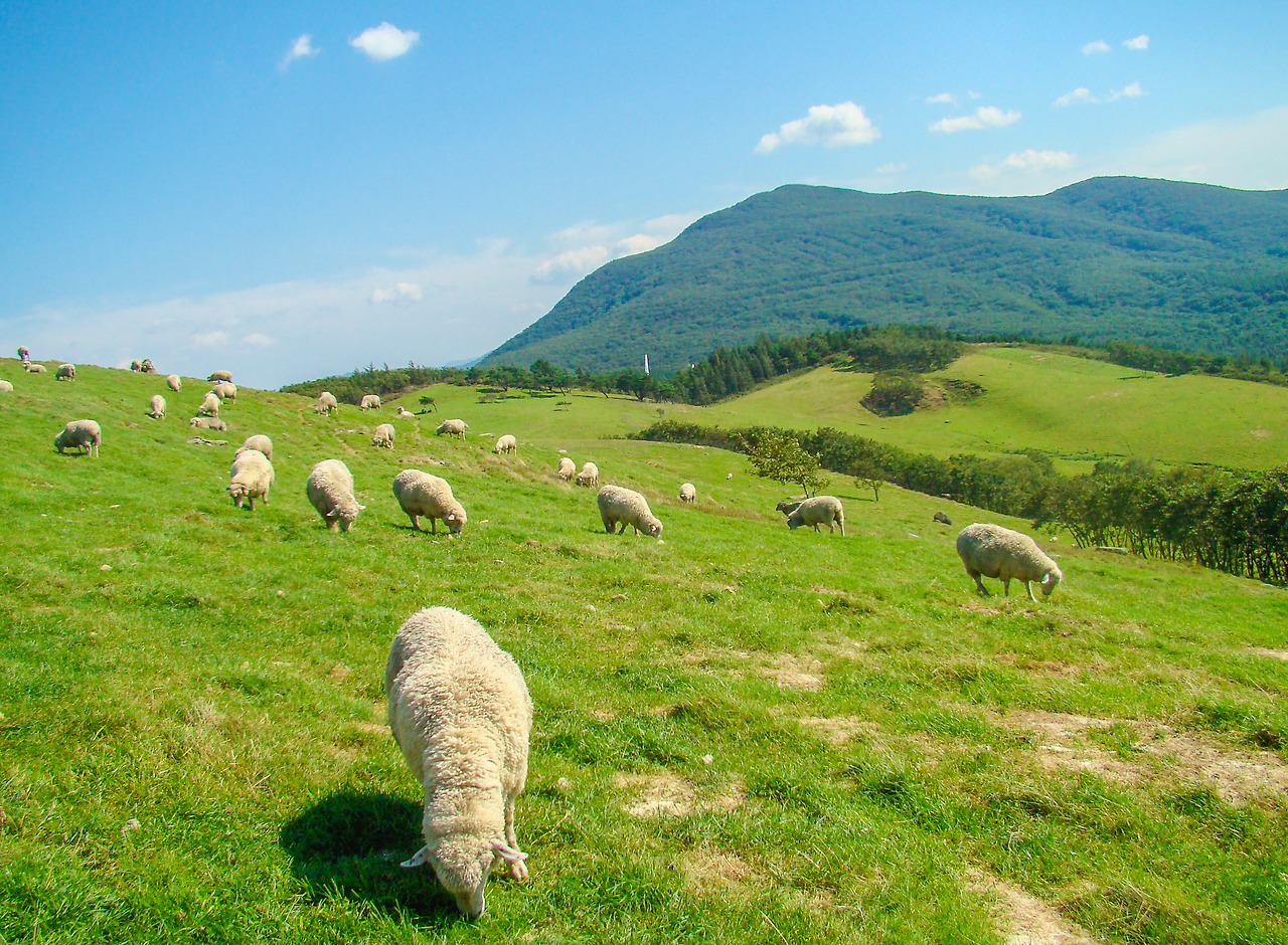 평창 (3).jpg