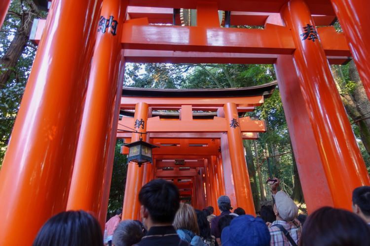 41후시미이나리신사resize.jpg