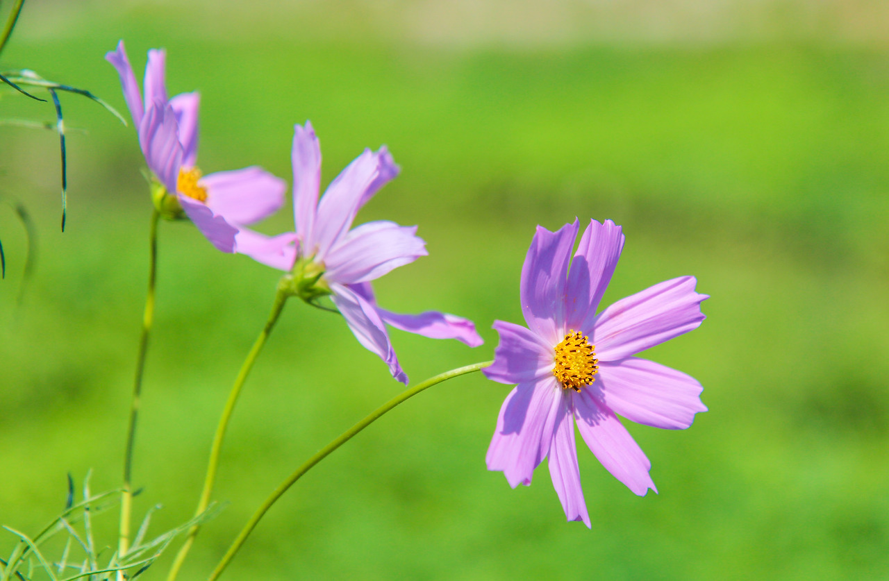 안동 (4).jpg