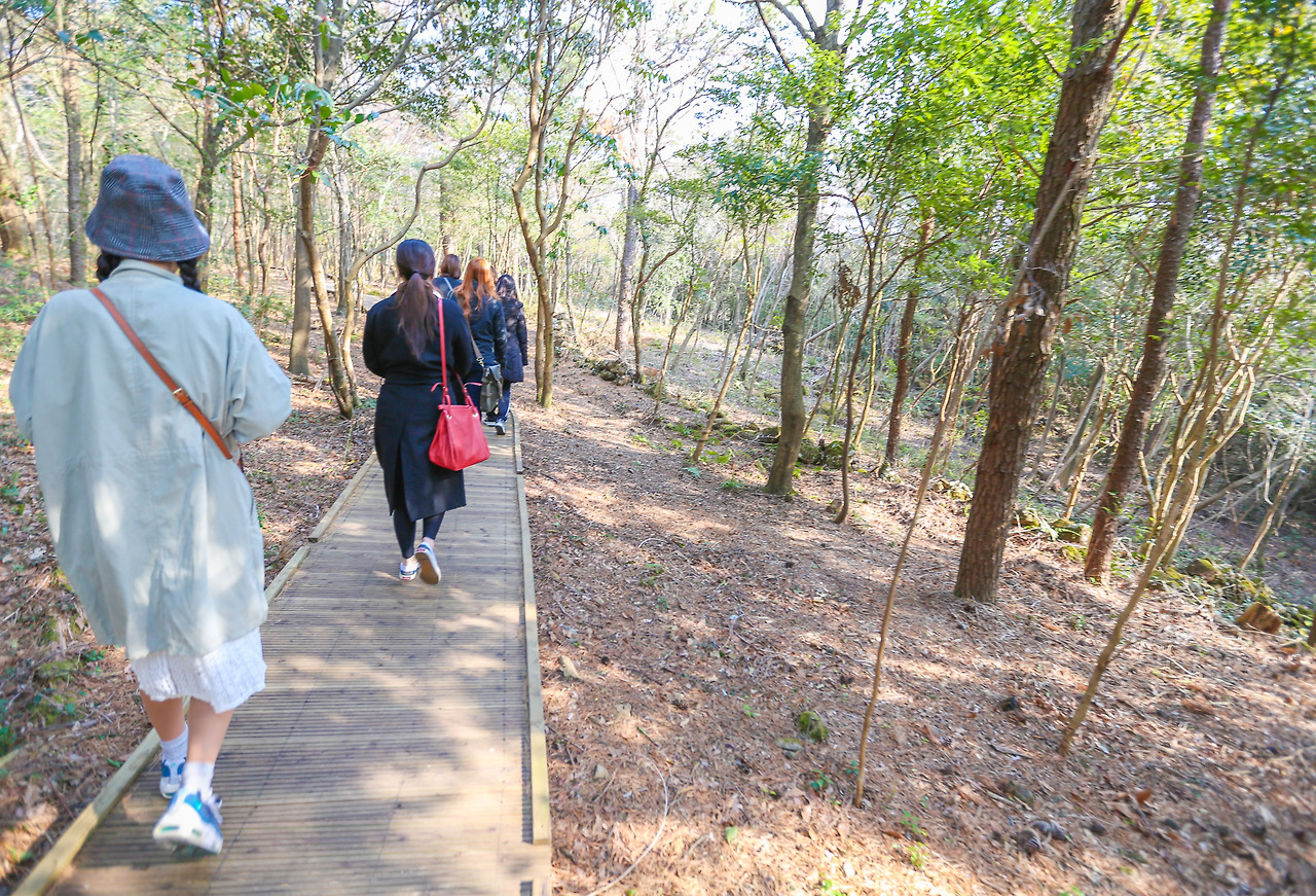 제주 (5).jpg