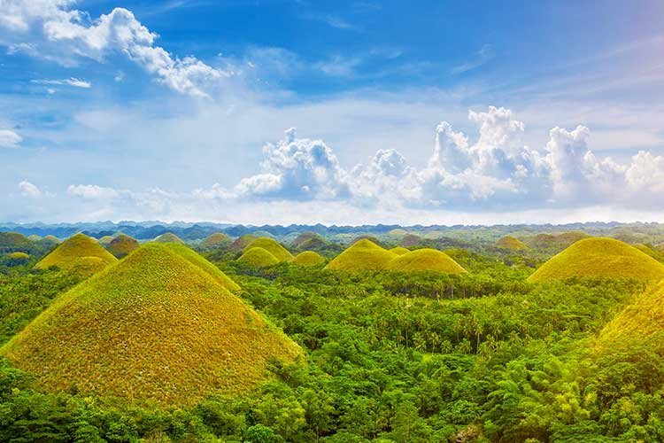 다운로드 (7).jpg