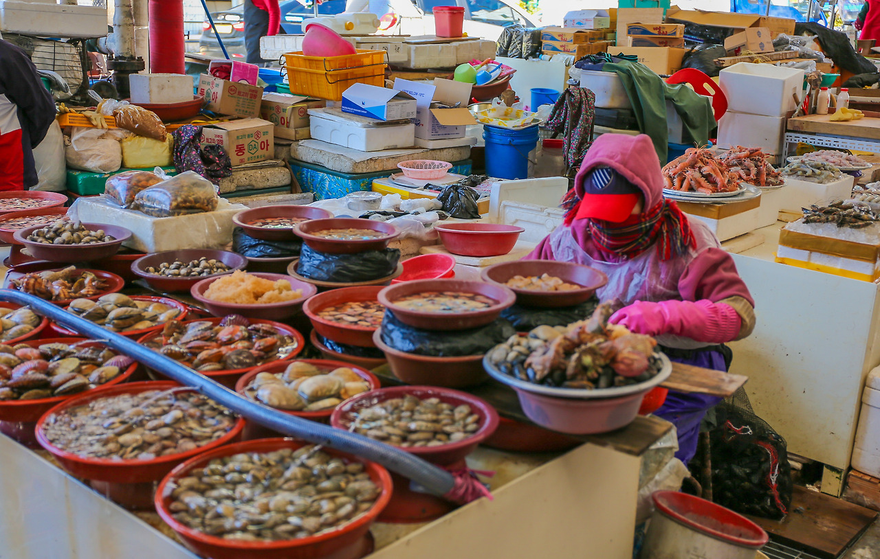 거제 (1).jpg