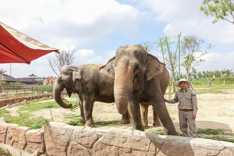 17resize_3 다낭 (7).jpg