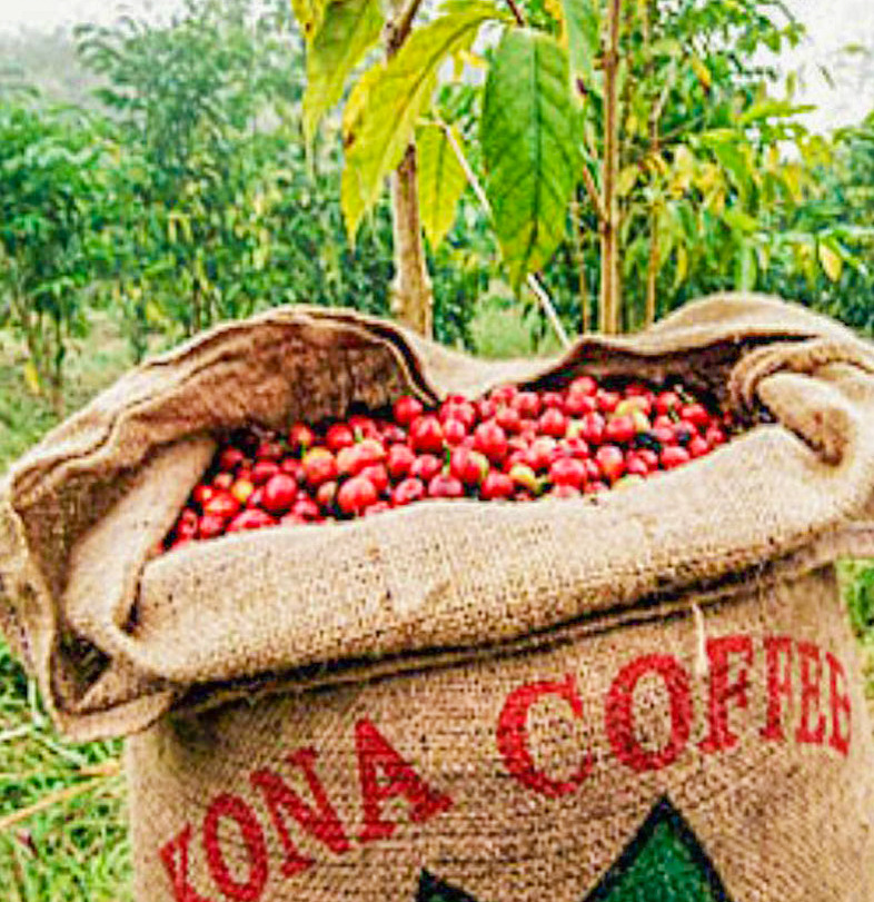 코나커피 (2).jpg