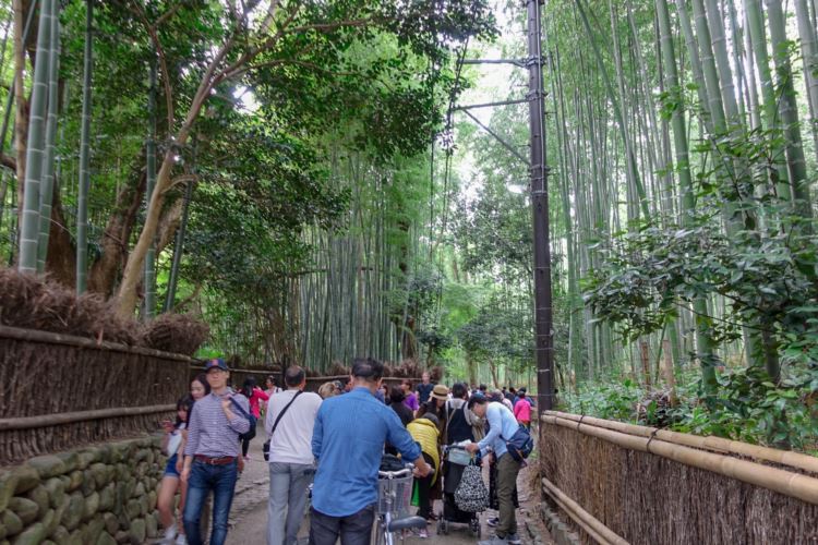 29아라시야마 치쿠린resize.jpg