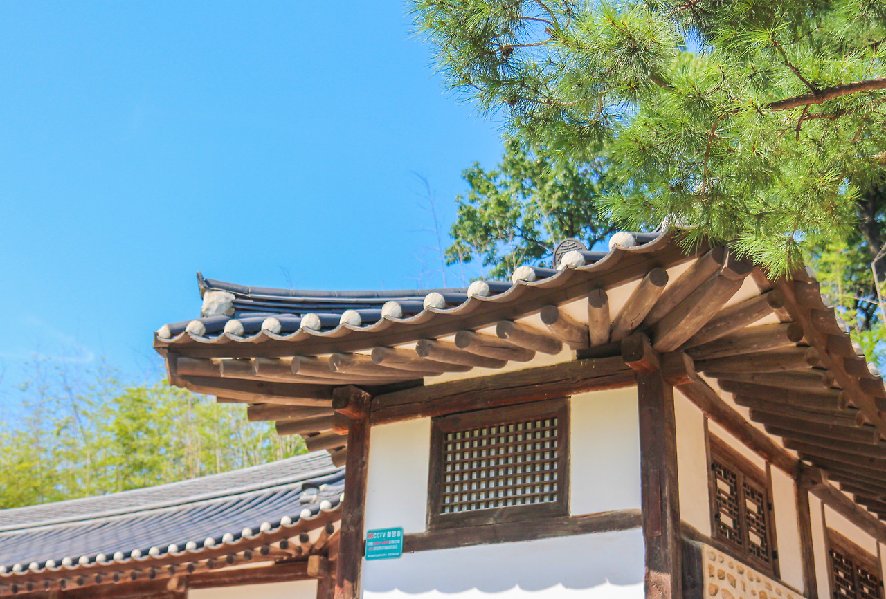 안동 (5).jpg