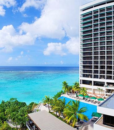 03리프앤올리브1 (1).jpg