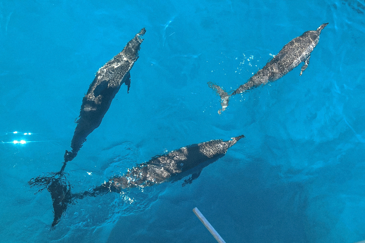 12_뗡뀹___믟뀬_뗡뀶_뗡뀱_믟뀬_솽꼳__5__め넽 _꺻뀳__꼹_듄넫_뤳뀽_끷뀸_뚡뀽.jpg