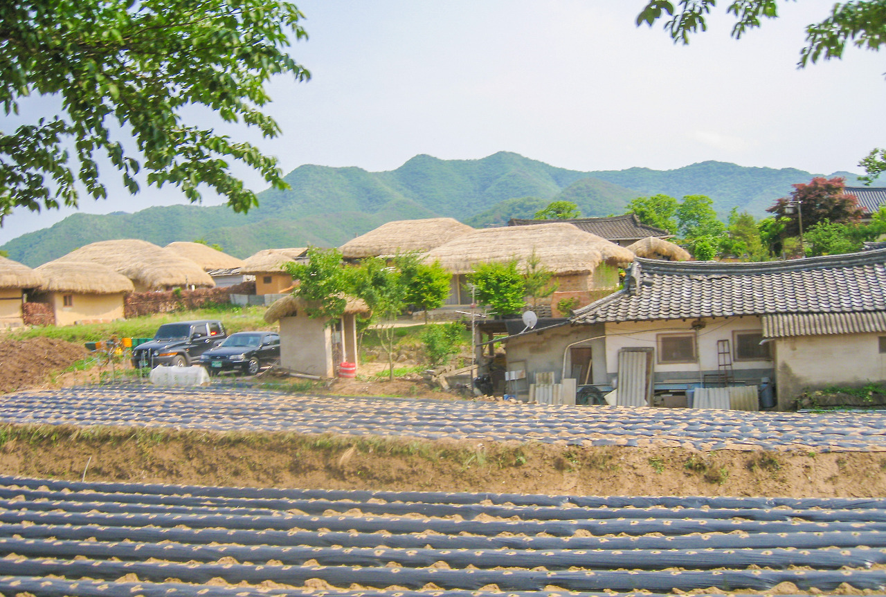 안동 (2).jpg