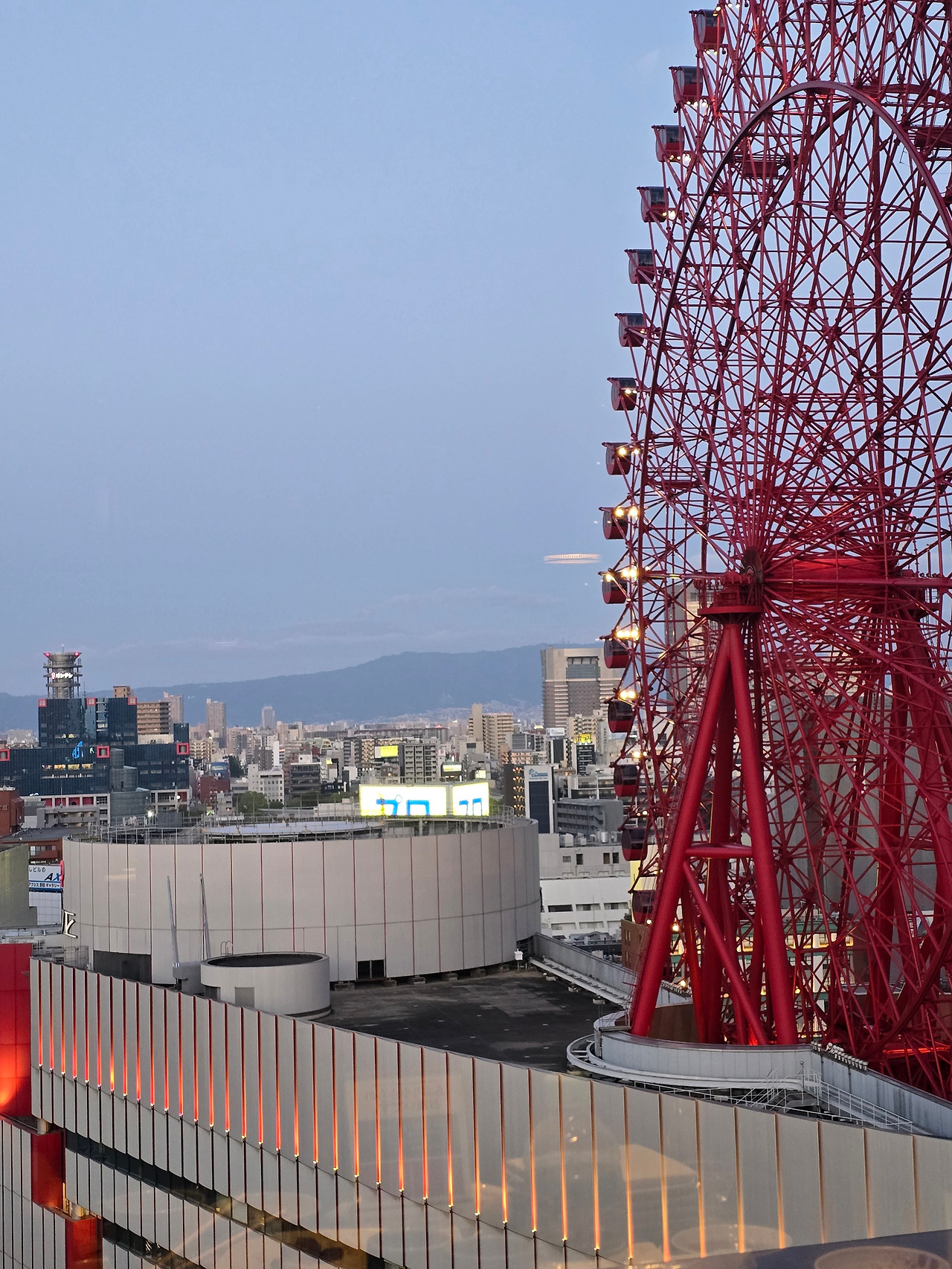 불 들어온 대관람차.jpg