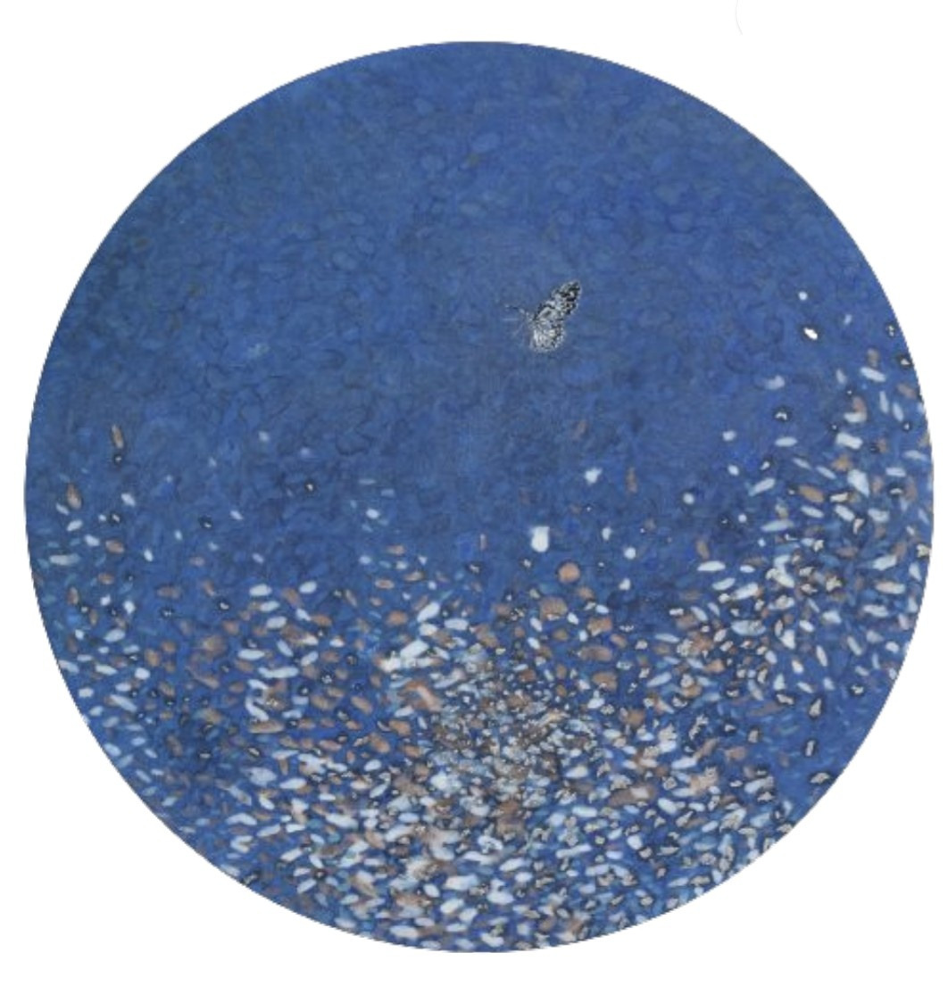 꿈을 찾아서....(blue).jpg