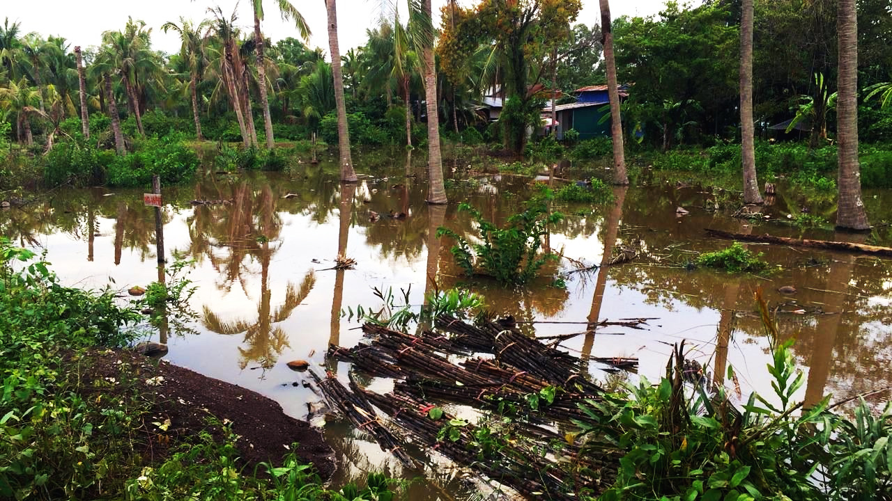 사본 -IMG_2965.jpg