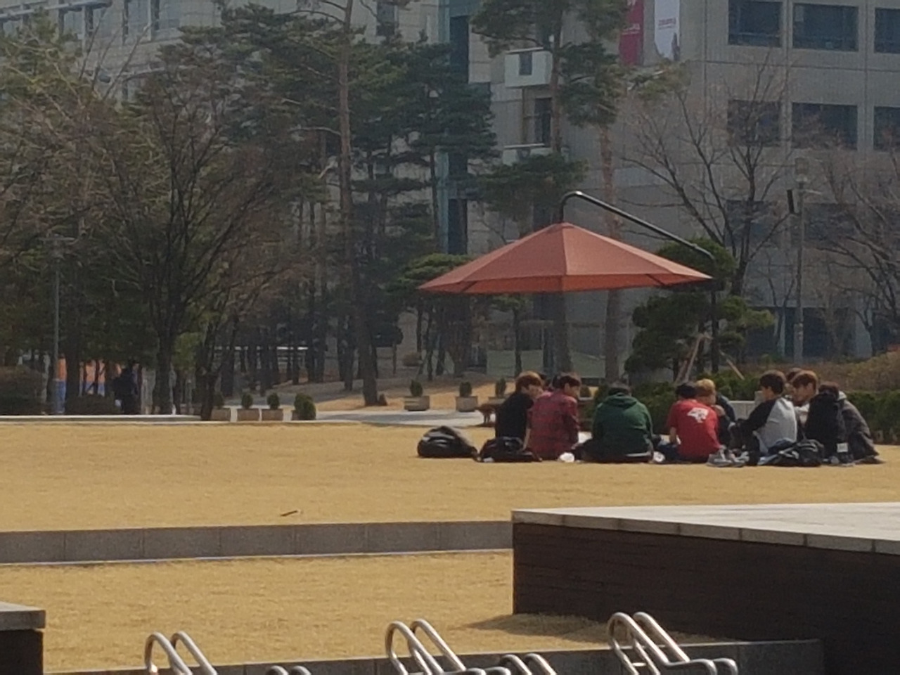 20170317_고려대캠퍼스의 봄 (3).jpg