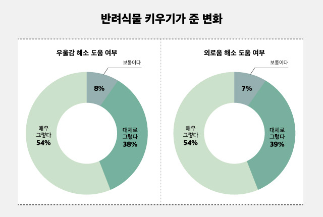 심플랜트 그래프.jpg