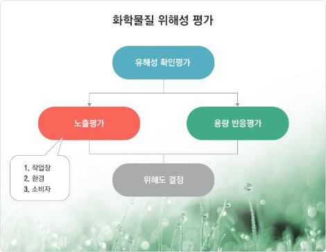 위해성 평가.jpg