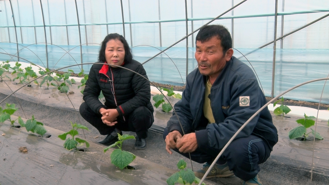 Still0408_00001 copy.jpg