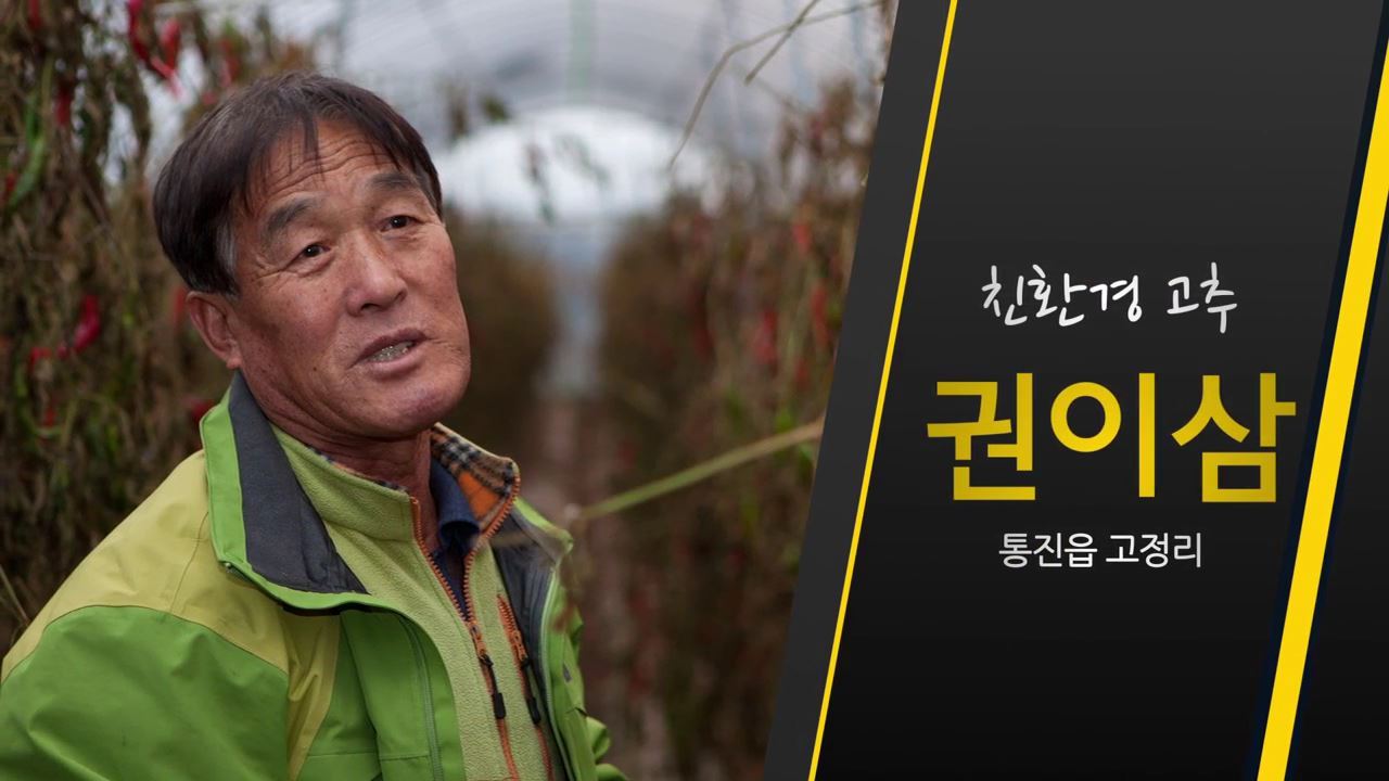 고추-권이삼.mp4_000021766.jpg