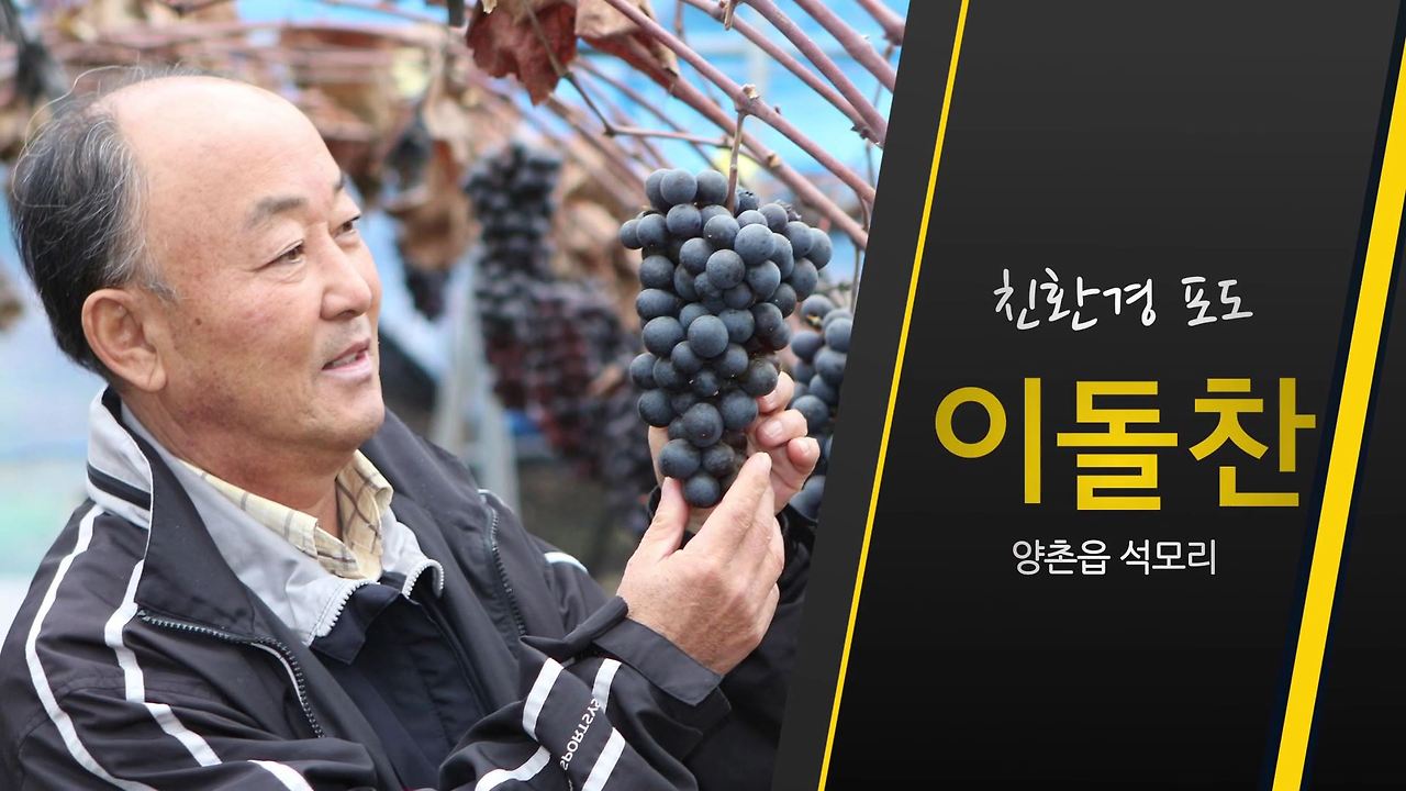 포도-이돌찬.mp4_000016051.jpg