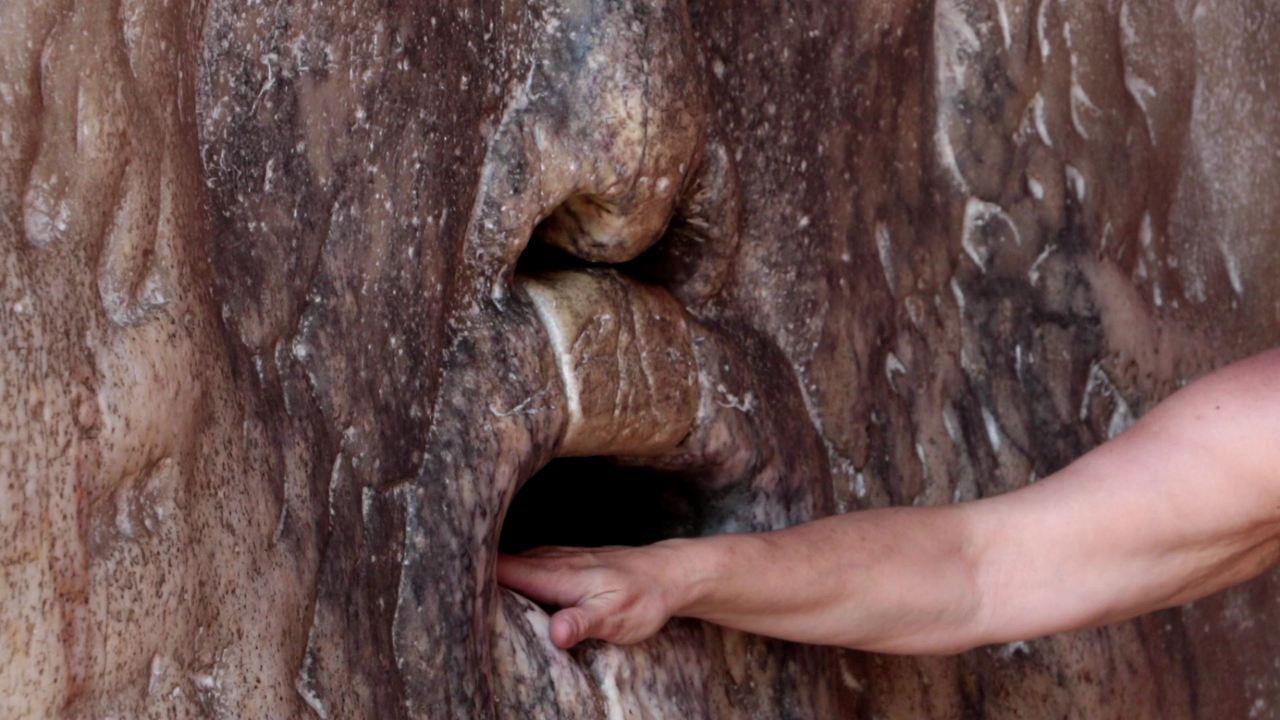 진실의 입 손.jpg