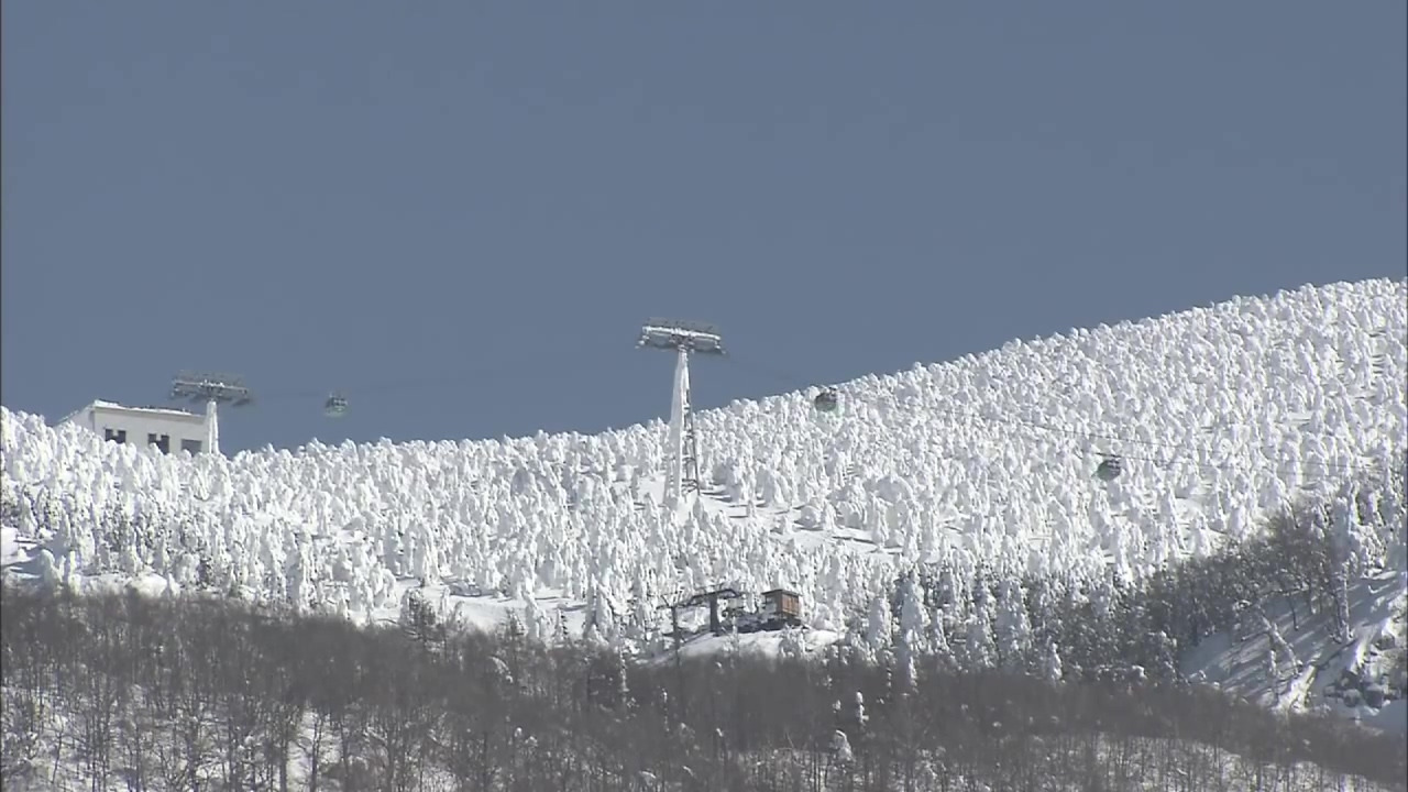 ZAO　山形蔵王温泉スキー場.mp4_20190222_084844.722.jpg