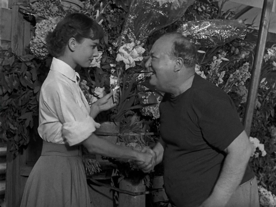 Roman.Holiday.1953.720p.HDTV.DD2.0.x264-DON.mkv_20160618_075046.835.jpg