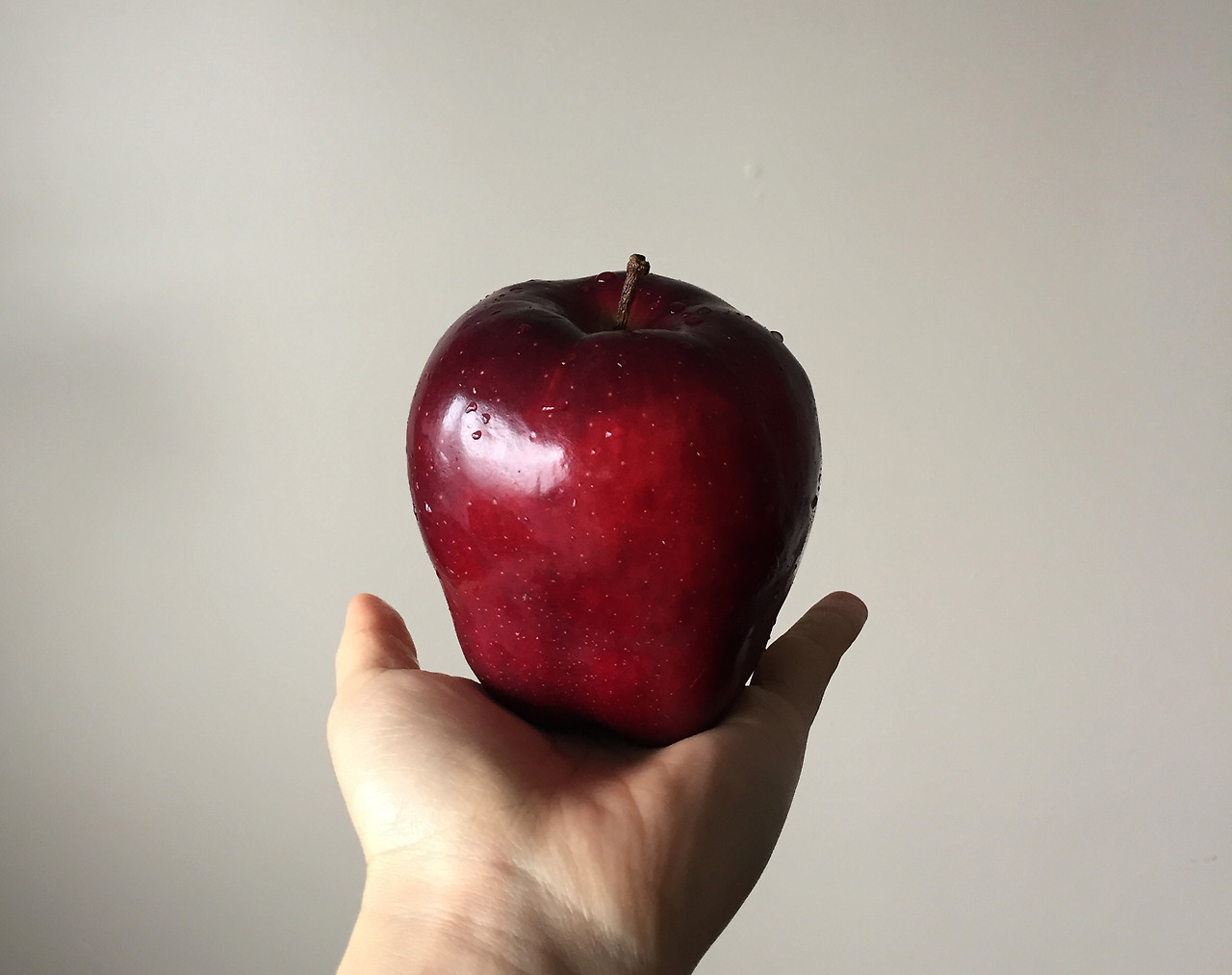 01-사과3.jpg