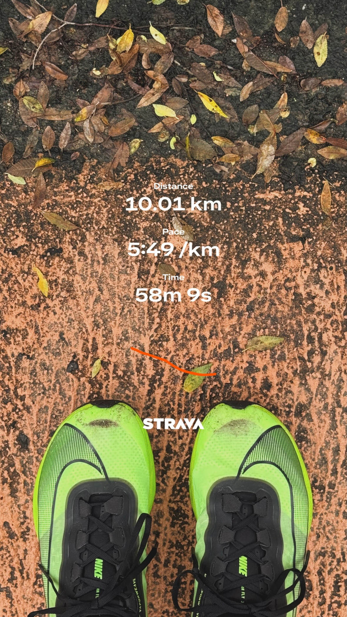 47366288-54C3-453B-A63B-C02CACEA2859 2.jpg