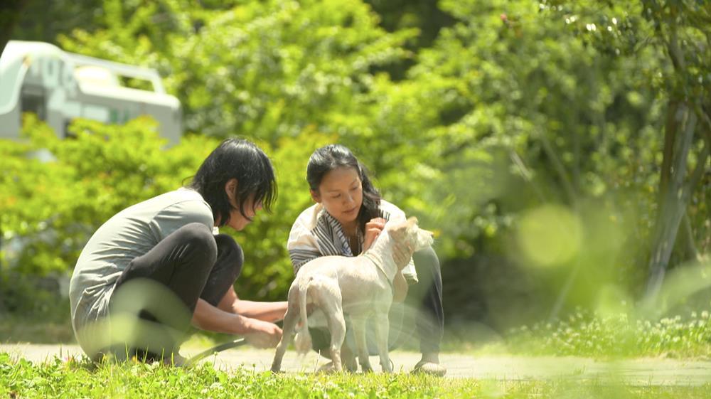 스크린샷 2017-06-20 오후 2.09.33.jpg