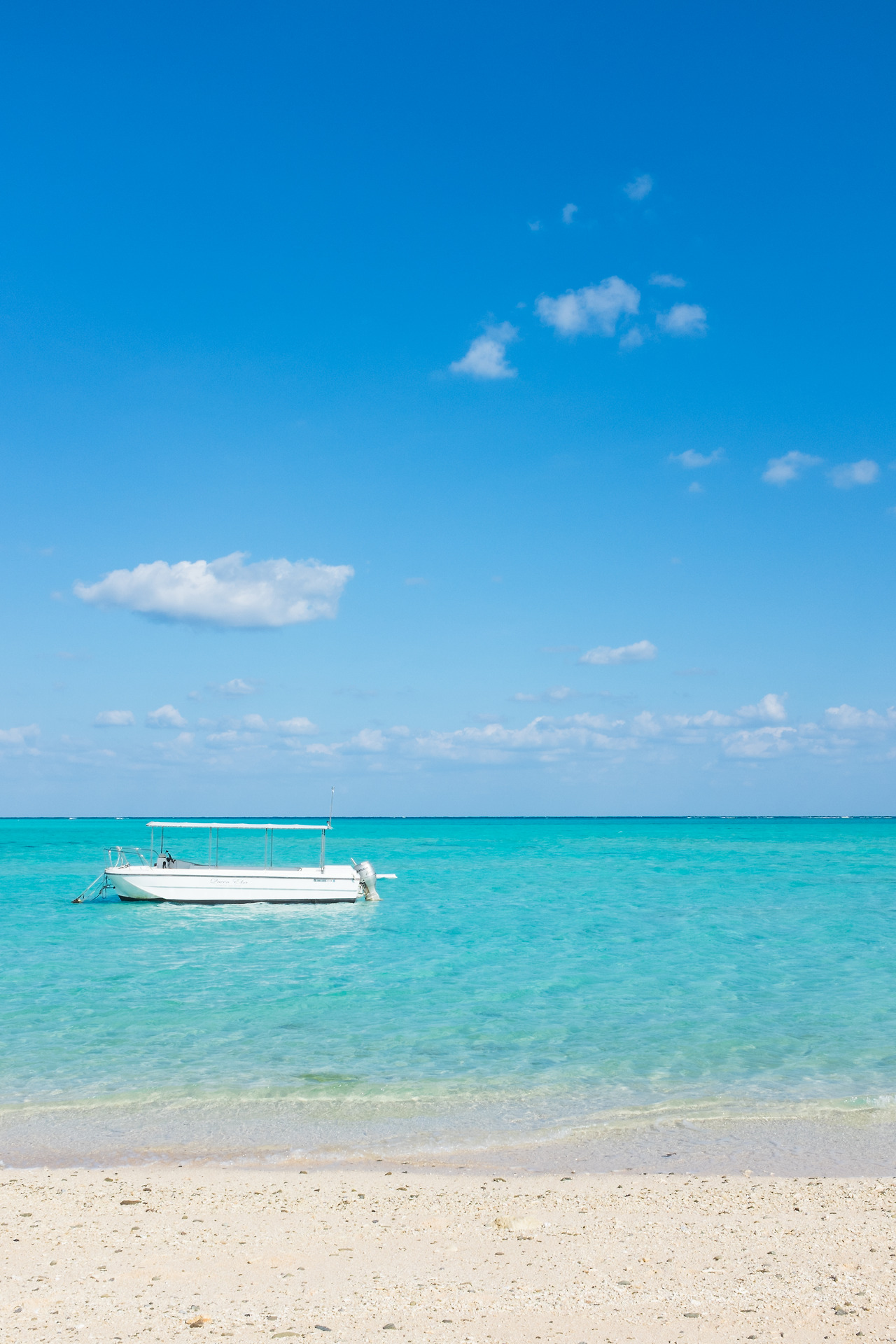 1. 다이카네쿠 해안DSCF2517.jpg