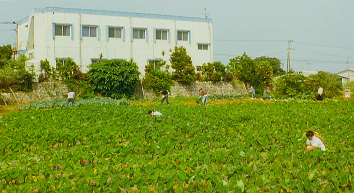 3. 호시스나소 2.jpg