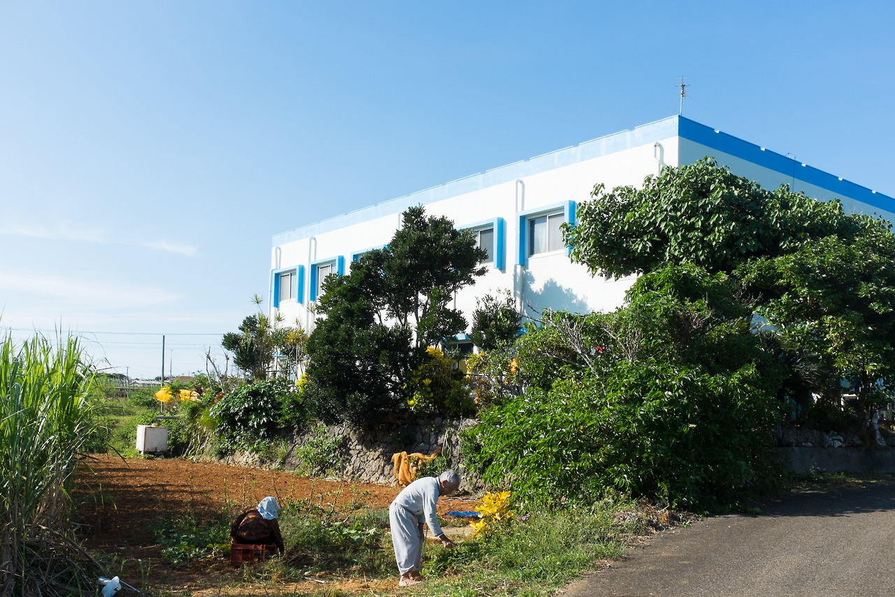 3. 호시스나소 DSCF2616.jpg