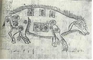 보본사실기 시생해체도.jpg