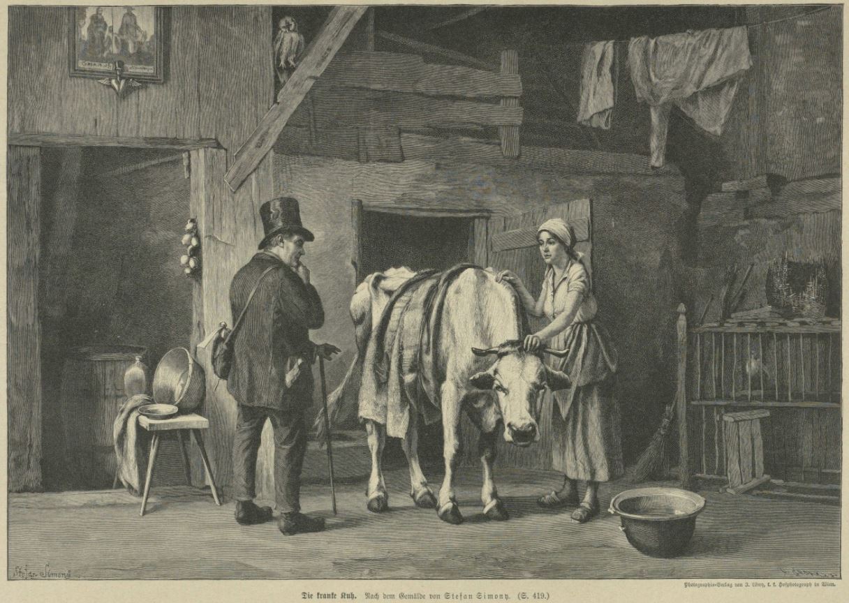 03_illustrirte-welt_43_1895-96_p417_bauernhof_bauern_rindvieh_kuh_tierkrankheit.jpg