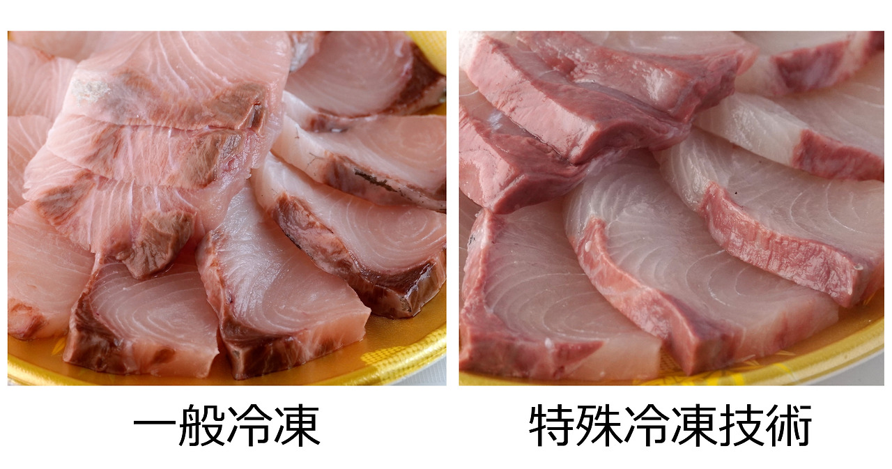 comparison_buri_sashimi.jpg