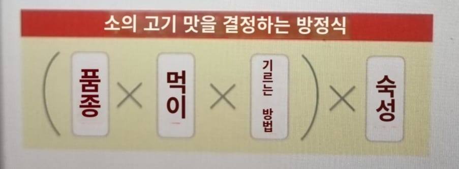 소고기맛1.jpg