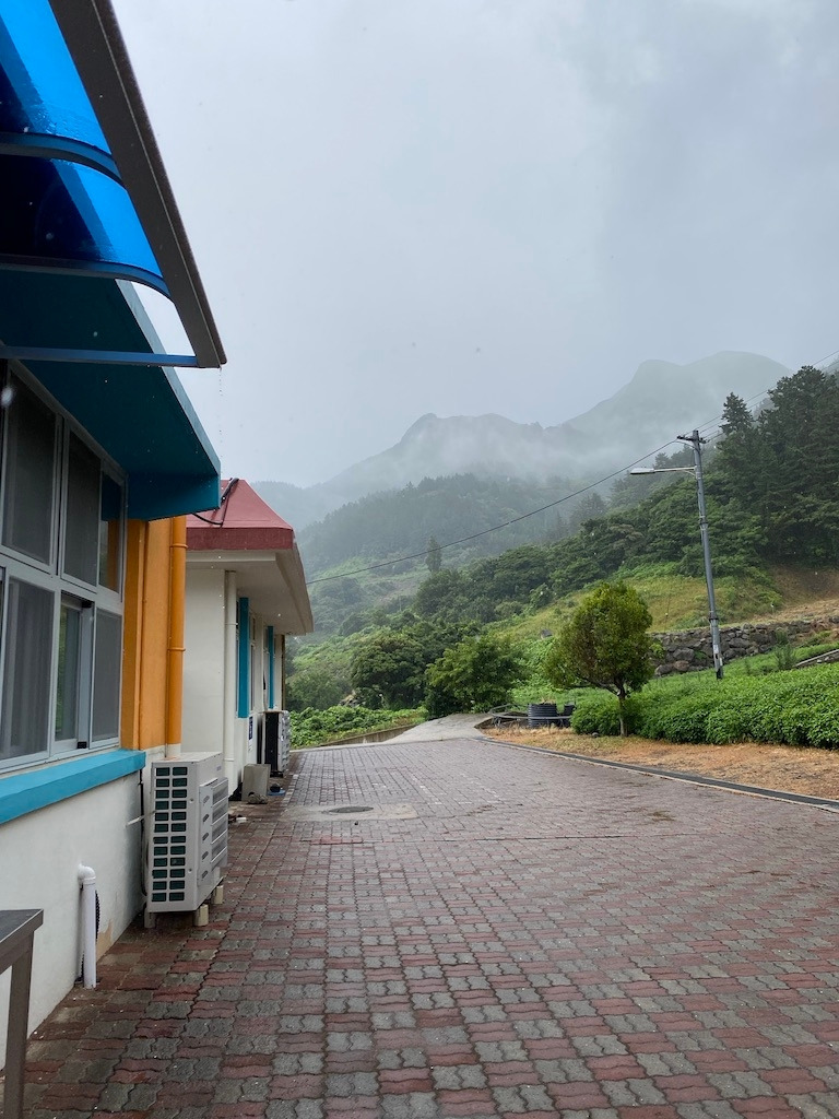 UNADJUSTEDNONRAW_thumb_43db 2.jpg