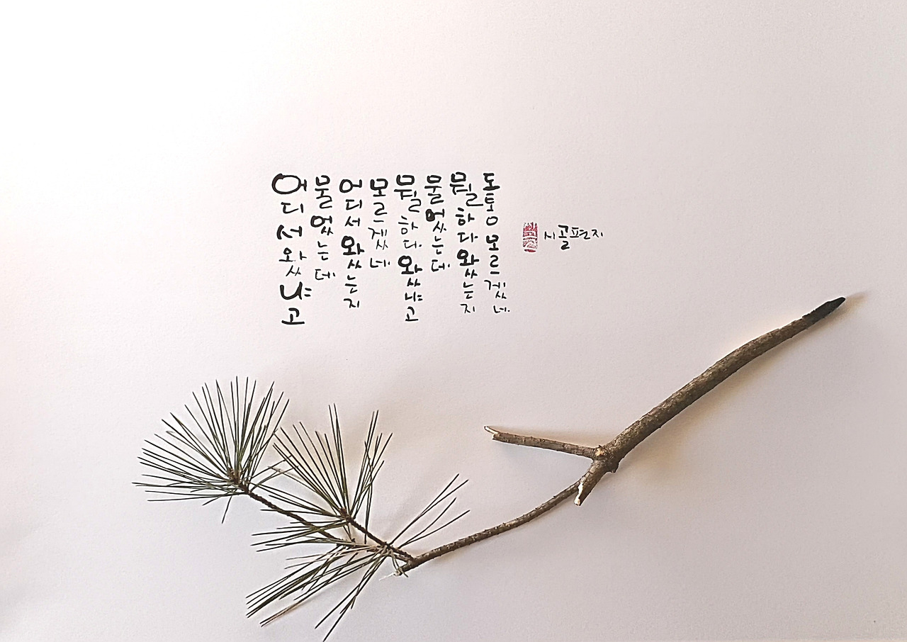 어디서 왔는지.jpg